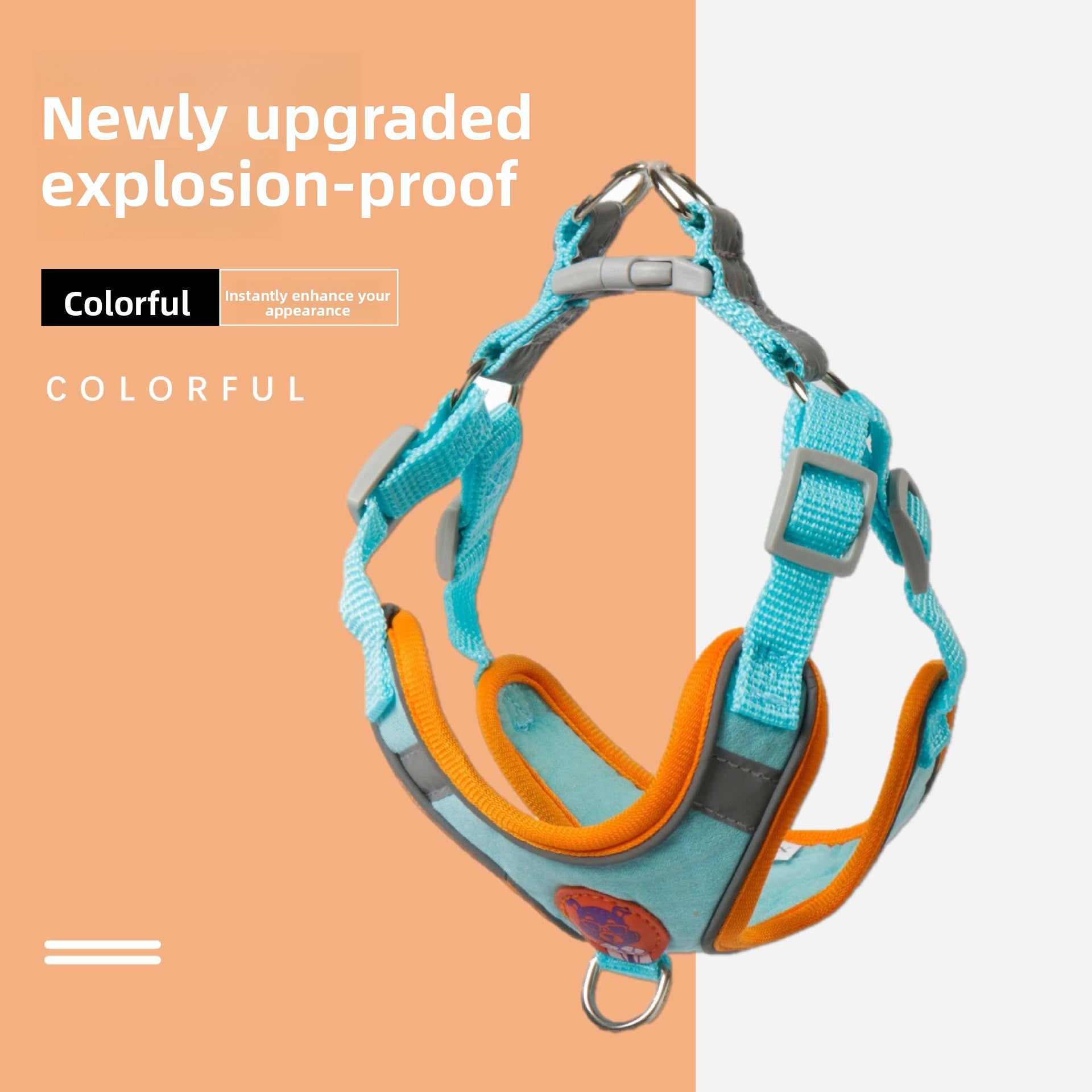 Colorful dog harness with text on a split background