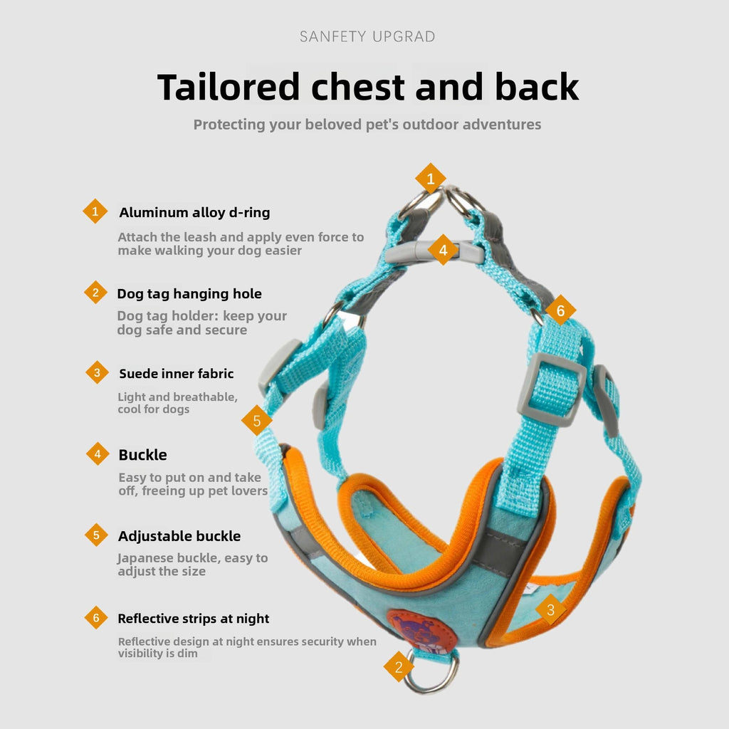 Dog harness with features highlighted on a white background