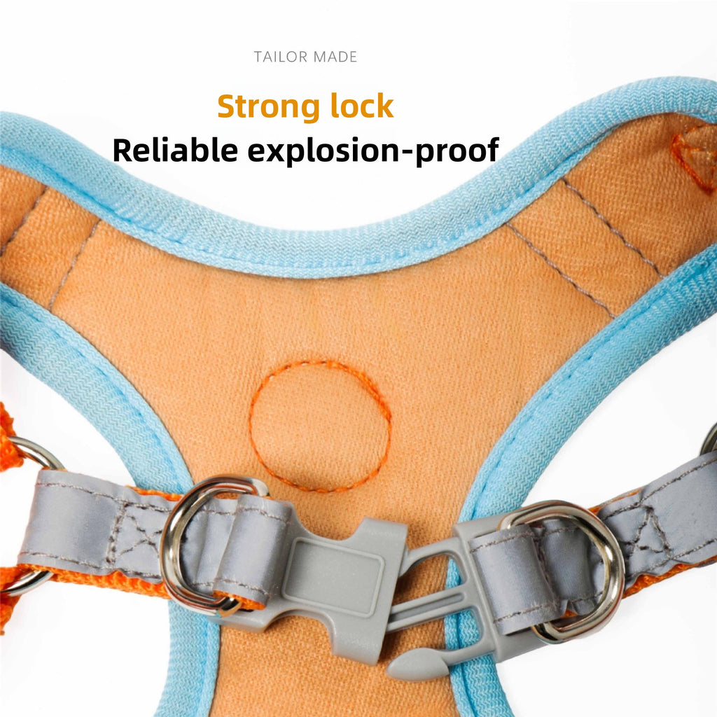 Dog harness with strong lock and explosion-proof feature on a white background