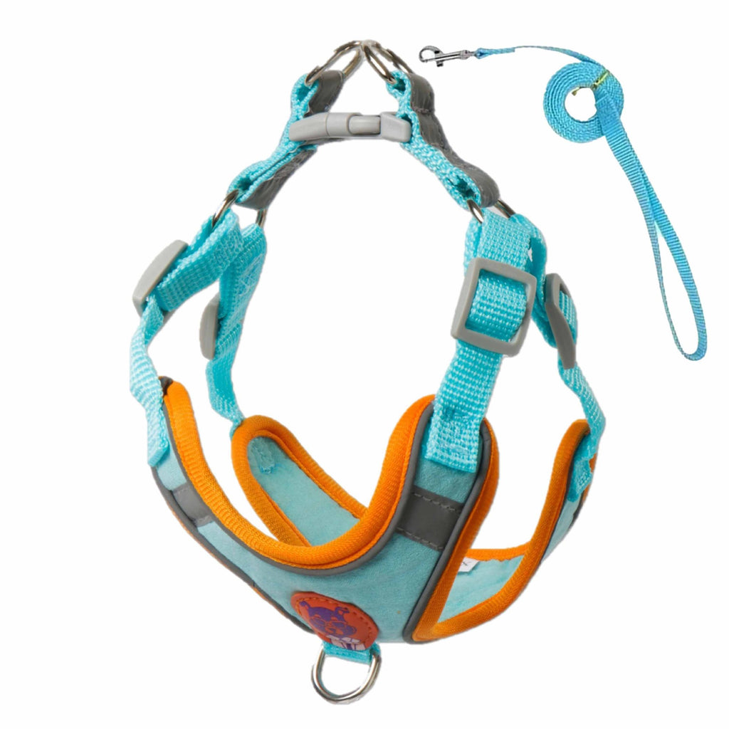 PawMind Reflective No-Pull Dog Harness & Leash Set